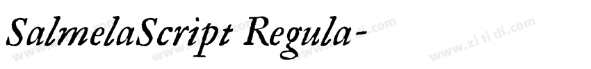 SalmelaScript Regula字体转换